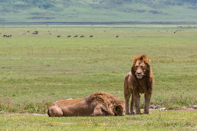 4-day Tanzania Safari - Tarangire National Park: why elephants gather where water is scarce