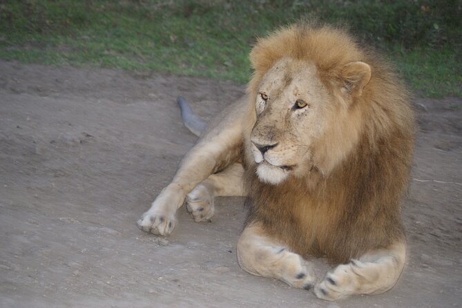4 Days Group Camping Safari - Key Things You’ll Remember From This Safari