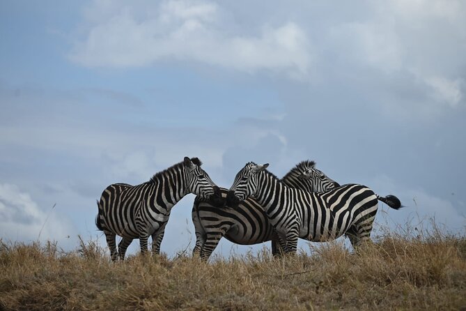 4 Days Group Camping Safari - A Tight 4-Day Route From Arusha That Actually Fits Wildlife Time