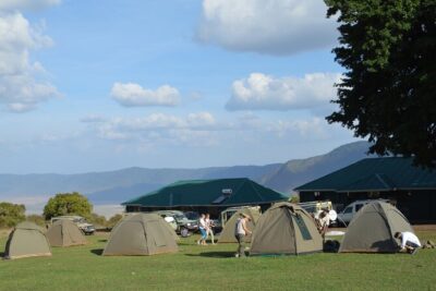 4 Days Group Camping Safari - Tarangire National Park: Elephants, Baobabs, and Strong Animal Density