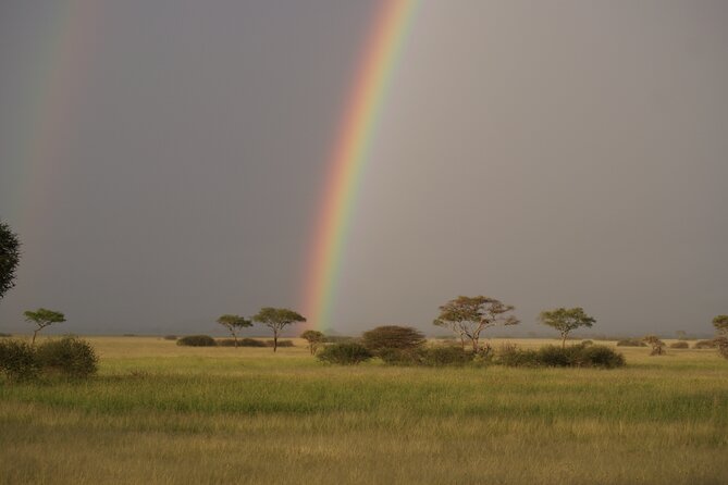 4 Days Group Camping Safari - Guides, Spotting Skills, and the Ecosystem Lesson You’re Paying For
