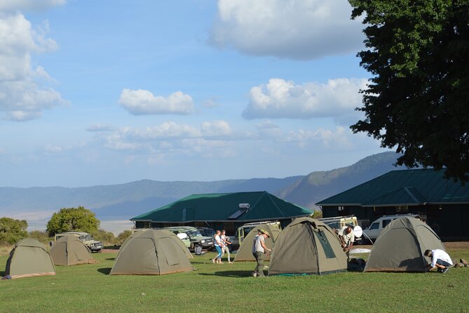 4 Days Group Camping Safari - Tarangire National Park: Elephants, Baobabs, and Strong Animal Density