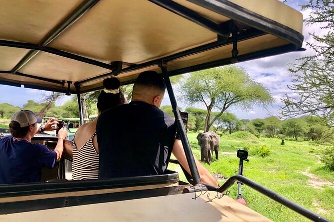 4 Days lodge safari Tarangire , Ngorongoro crater & Walking - Lodging, Meals, and What You’re Actually Getting for $720