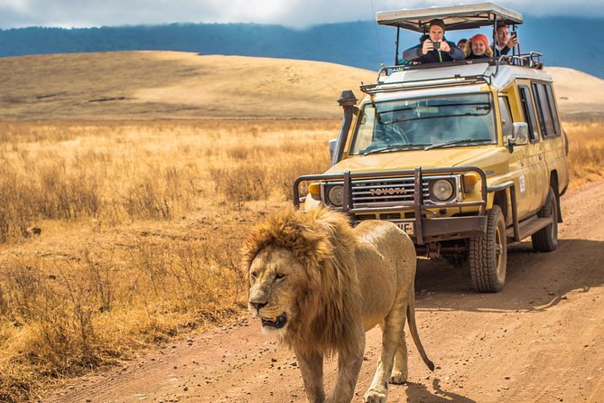 4 Days Private Safari - Tarangire, Serengeti & Ngorongoro Crater - Arusha pickup and Tarangire’s elephant-rich day