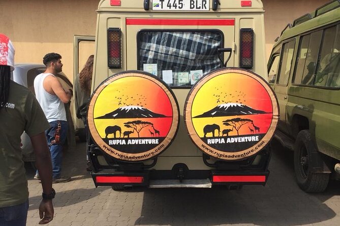 4 Days Private Safari - Tarangire, Serengeti & Ngorongoro Crater - Camping tents, mosquito nets, and included meals