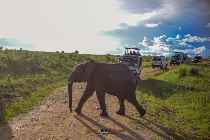 4 Days Safari Adventure Masai Mara and Nakuru Park Group - Pickup from Nairobi and that Great Rift Valley photo stop