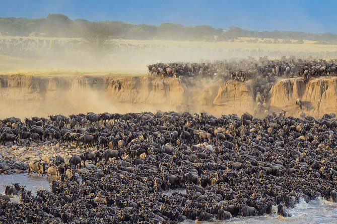4 days safari in Tanzania - Lodging Style: Lodges, Tented Nights, and What Basic Really Means