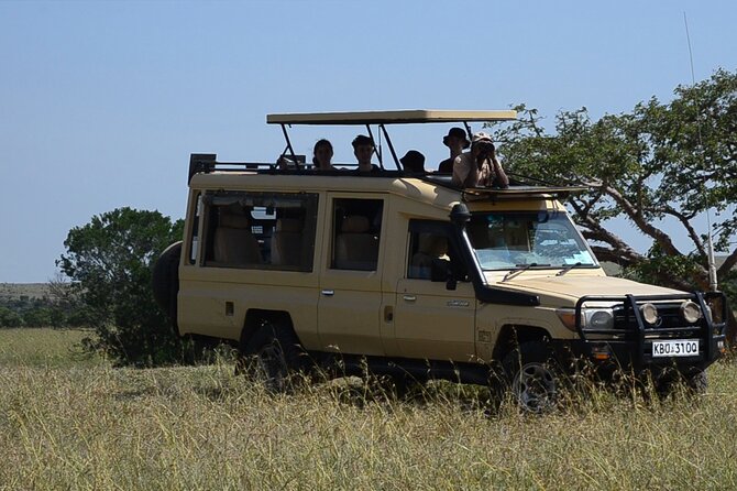 4 Days Safari Lake Nakuru NP Naivasha and Masai Mara - Lake Nakuru: rhinos and lions, plus the flamingo reality check
