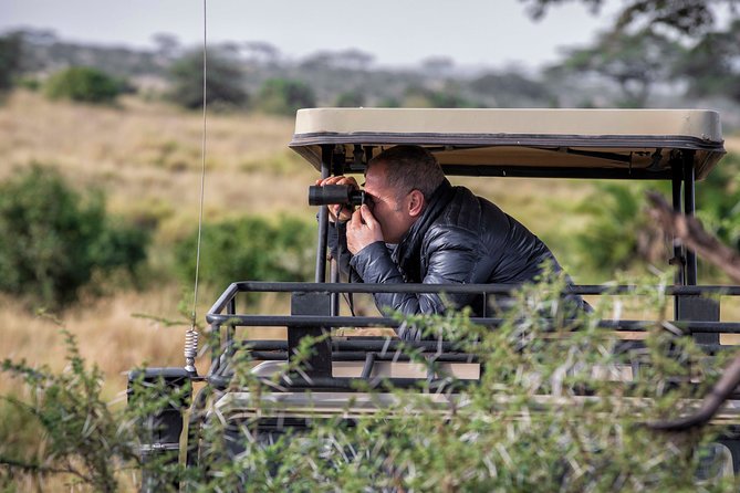 4 Days safari Tour Tanzania - Northern Tanzania in Four Days: What You’re Actually Buying