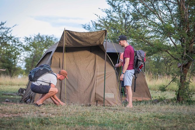 4 Days safari Tour Tanzania - The Serengeti Run: Crater Highways, Long Roads, and Sunset Magic at Seronera