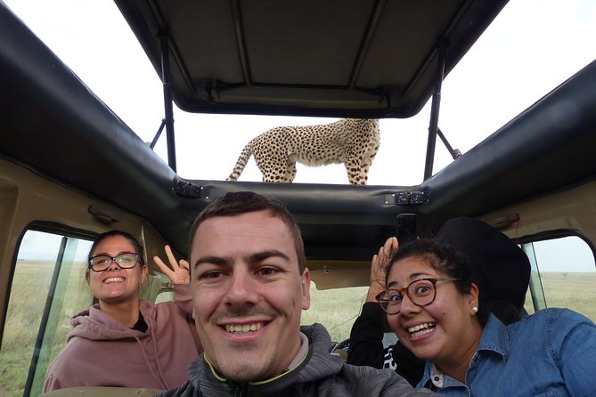 4 Days safari Tour Tanzania - Camping Setup, Included Meals, and the Pop-Roof Reality Check