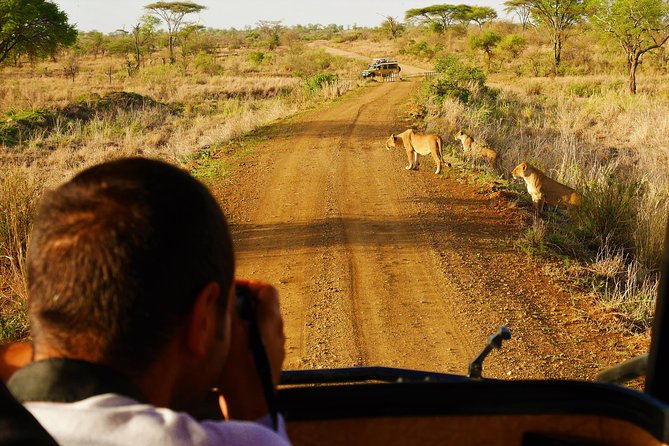 4 Days Tanzania Camping Safari - Day 1 in Tarangire: Baobabs, Elephants, and Dry-Season Drama