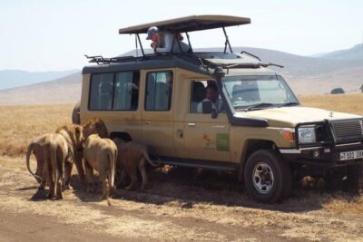 4 Days Tanzania Camping Safari - Day 2 in Serengeti: The Famous Plains With Predator Reality