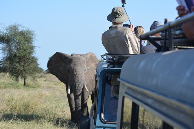 4 Days Tanzania Lodge Safari With Two Nights at Serengeti - The road into Serengeti: Karatu, conservation country, then Seronera