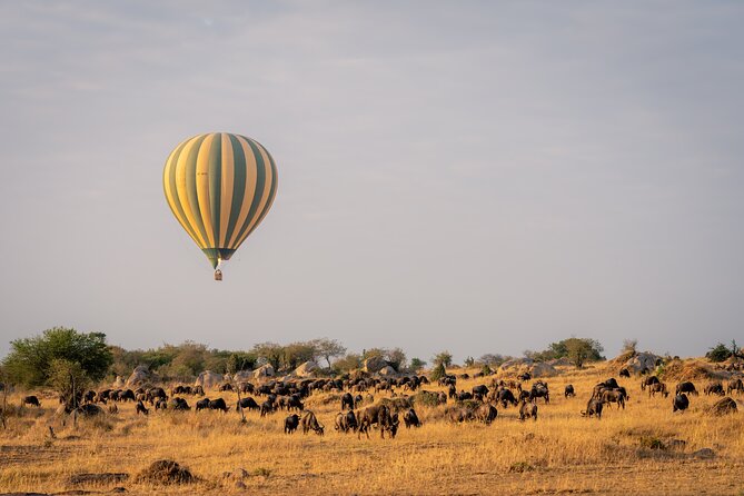 4 Days Tarangire, Serengeti and Ngorongoro Mid-Range Group Safari - Comfort, food, and what mid-range really means on the ground