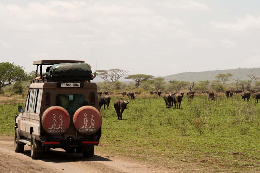 4 Days Tarangire, Serengeti, Ngorongoro Group Camping Safari - Day 2: Tarangire to Serengeti for lions, cheetahs, and big-sky plains