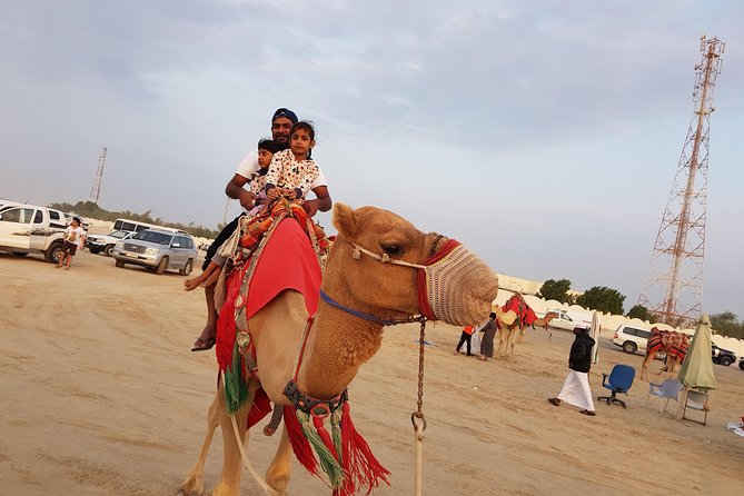 4 Hour Desert Safari, Camel Ride & Inland Sea Beach - Price and Value: Is $75 Worth It for a 4-Hour Ride?