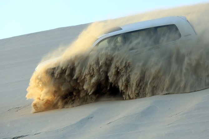 4 Hour Doha Desert Safari Tour - Key highlights to look for
