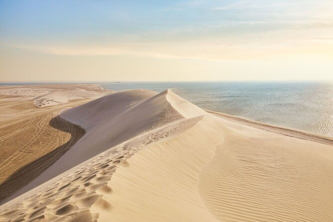 4 Hour Doha Desert Safari Tour - Sealine Beach stop: why it’s more than just a transfer moment