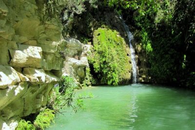 4 hour Quad & Buggy Safari Akamas(lara Bay) & Adonis Falls - Where it starts: Peyia meeting point and how pickup works