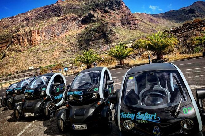 4 Hours Eco Safari Tour with Electric Car in Tenerife - Key highlights you’ll feel right away