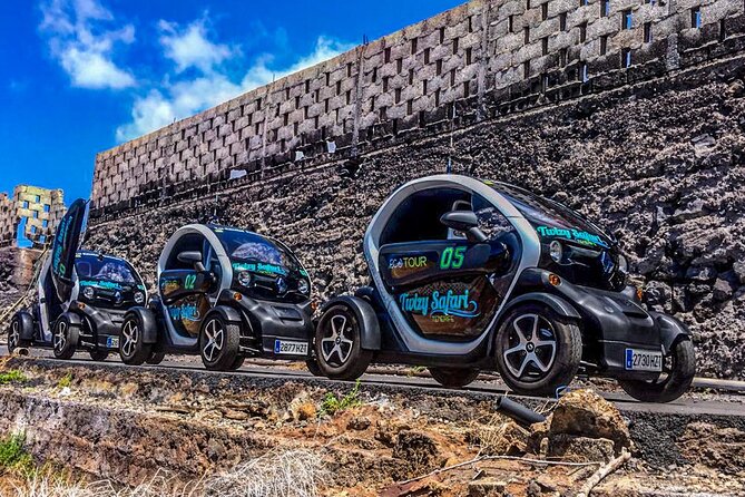 4 Hours Eco Safari Tour with Electric Car in Tenerife - Tamaimo: the coffee stop where history starts