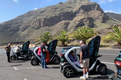 4 Hours Eco Safari Tour with Electric Car in Tenerife - The route philosophy: more inland life, less tourist loop