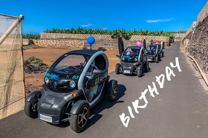 4 Hours Eco Safari Tour with Electric Car in Tenerife - Santiago del Teide: a historic village walk with real local rhythm