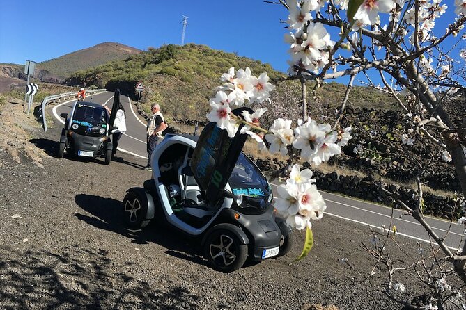 4 Hours Eco Safari Tour with Electric Car in Tenerife - Chio: food production and Canarian flavors you can taste