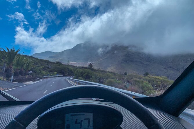 4 Hours Eco Safari Tour with Electric Car in Tenerife - Puerto de Santiago: banana plantation walk and how export farming works