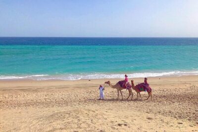 4hr Desert Safari: Sunset,Sunrise,Camel,Sand boarding,Inland Sea - World Cup Stadium Stops: Qatar’s Big-Game Architecture