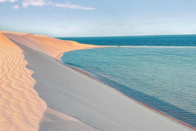 4hr Desert Safari: Sunset,Sunrise,Camel,Sand boarding,Inland Sea - Watching Paragliding Over the Dunes