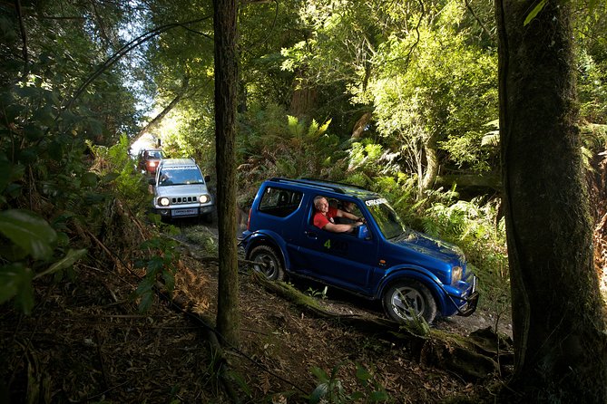 4WD Bush Safari at Off Road NZ - Key things I’d bookmark before you go