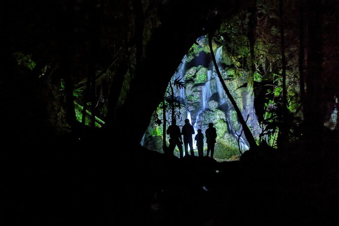 4WD Bush Safari at Off Road NZ - On the Trail: Steep Climbs, Descents, Tight Turns, and Tunnels