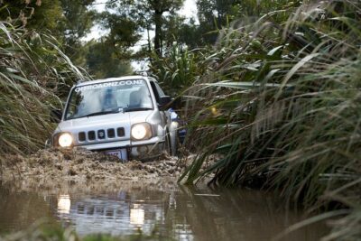 4WD Bush Safari at Off Road NZ - Timing That Works: Morning or Afternoon, and a 15-Minute Arrival
