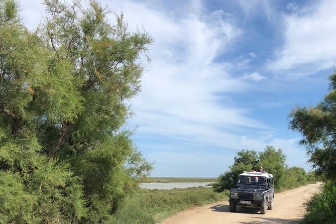 4x4 Camargue Safari 4h - Departure from Arles - Why This Safari Starts at 1 Rue Emile Fassin in Arles