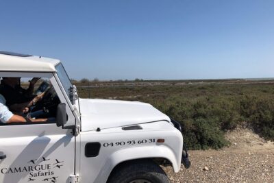 4x4 Camargue Safari 4h - Private Tour - Departure from Arles - Saintes-Maries-de-la-Mer: Using the 30 Minutes Well