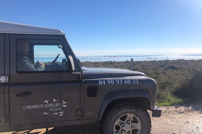4x4 Camargue Safari 4h - Private Tour - Departure from Arles - Who This Camargue 4x4 Safari Is Best For