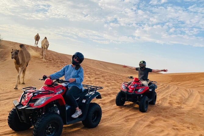 4X4 Dubai Desert Safari with BBQ dinner, Camels & Live Show - BBQ dinner and the live show: what you’ll actually see at night