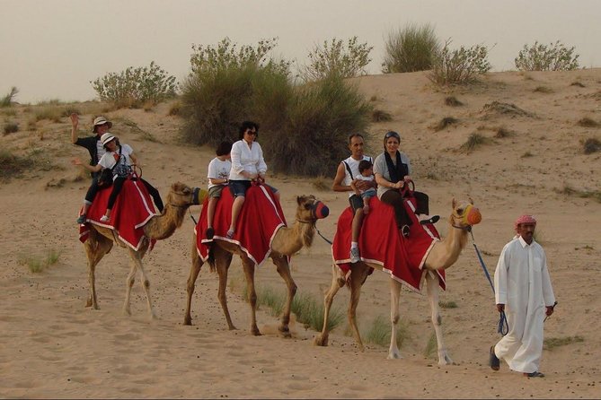 4X4 Dubai Desert Safari with BBQ dinner, Camels & Live Show - Price and value at around $85: where the money goes
