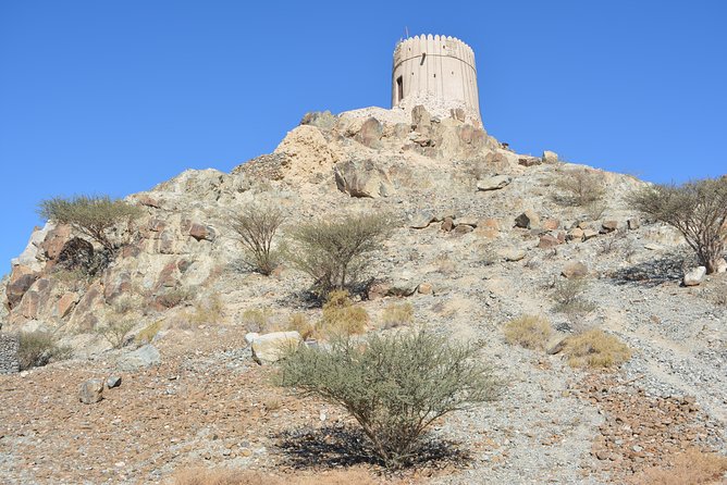 4x4 Hatta Safari to Fossil Rock & Honey Bee Garden visit with Breakfast - Camel Rock: Desert Shapes Made for Photos