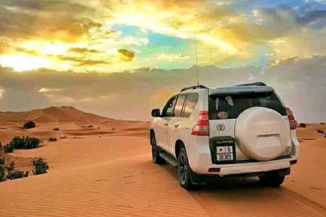 4x4 Jeep Safari in Agadir Mini Sahara and Berber Lunch - Key highlights worth planning around