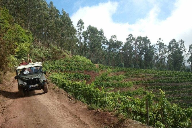 4x4 Safari Half day Poncha, Mountains, Vineyards and Cabo Girão Small group - A Half-Day 4x4 Safari Route That Fits Real Madeira Time