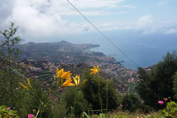 4x4 Safari Half day Poncha, Mountains, Vineyards and Cabo Girão Small group - Cabo Girão Cliffs: Why This Famous View Still Works on a Short Day