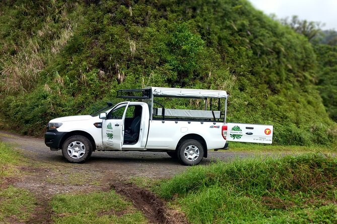 4x4 Safari HEREAKIMANU Tour in the Heart of Tahiti - What the 8-hour schedule really feels like