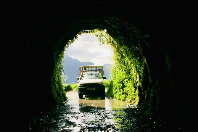 4x4 Safari HEREAKIMANU Tour in the Heart of Tahiti - The ride: open-air style bouncing and how to handle it