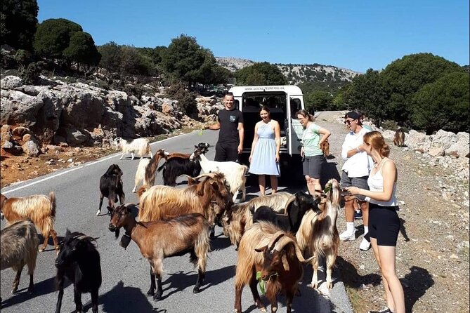 4x4 Safari Tour South Crete Agiofarago Matala - Agios Thomas: Roman Tombs, Byzantine Churches, and Raki Snacks
