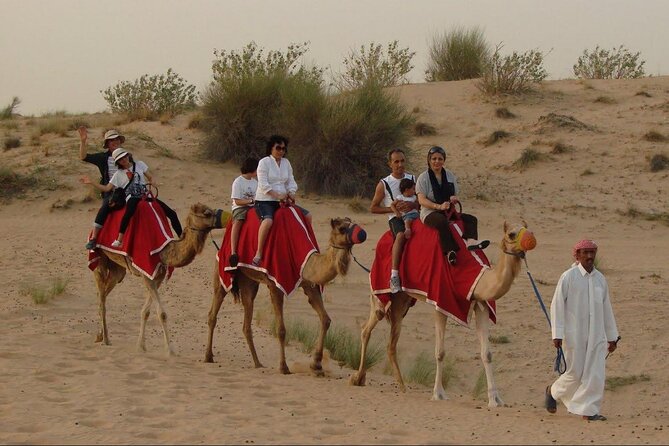 4x4 Self-Drive Quad Bike Safari with Camel Riding - Who this quad safari is best for (and who should skip it)