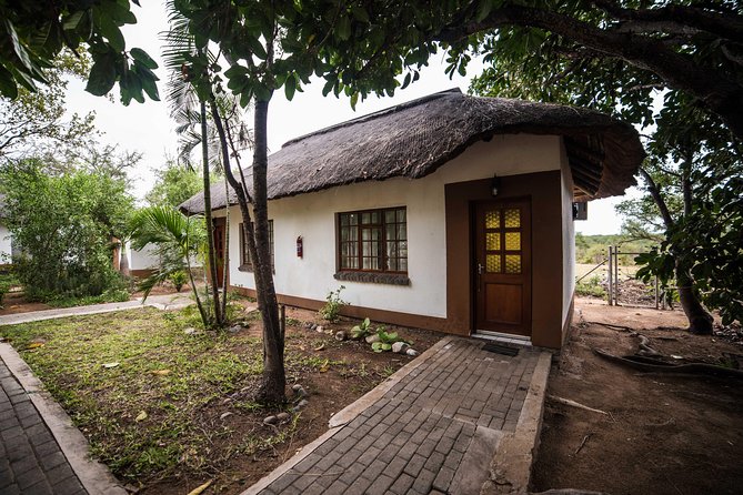 5 Day Classic Kruger National Park Safari - Who this tour suits best (and who might prefer something else)
