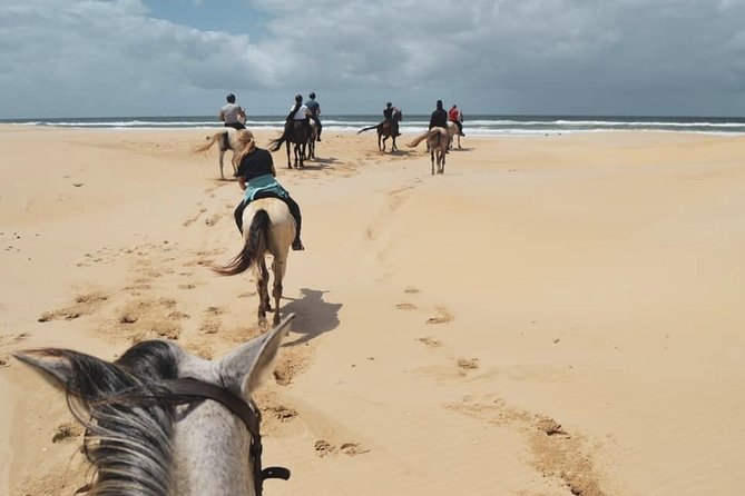 5 Day Garden Route and Addo Safari - Best of South Africa Small Group Tour - Accommodation: Dorm Social Life vs 3-Star Comfort vs 4-Star Treats